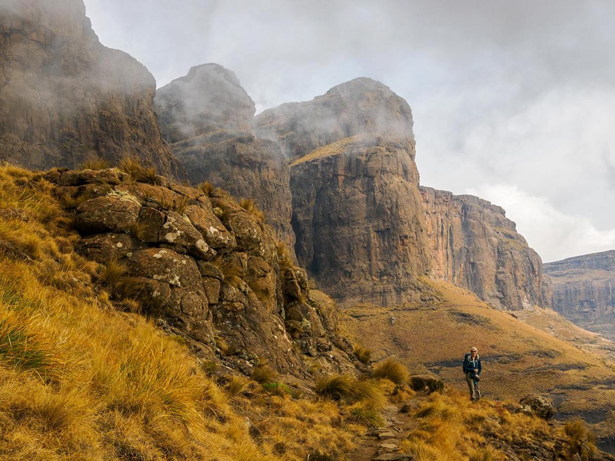 بيت شباب Karma Backpackers Kestell المظهر الخارجي الصورة
